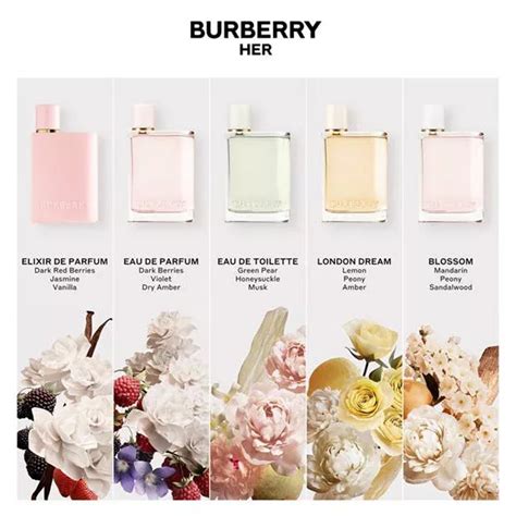 burberry 99 ice cream|Burberry her fragrance.